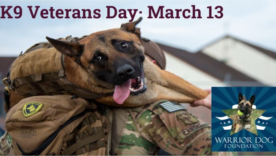 K9 Veterans Day: March 13