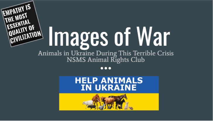 Help the Animals in Ukraine
