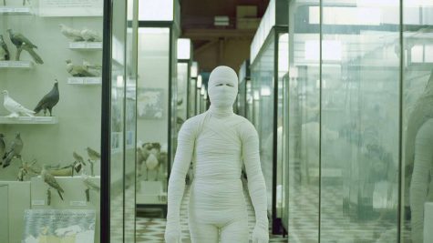 Aleta Madden- Case 1 (The Mannequin behind the Glass)