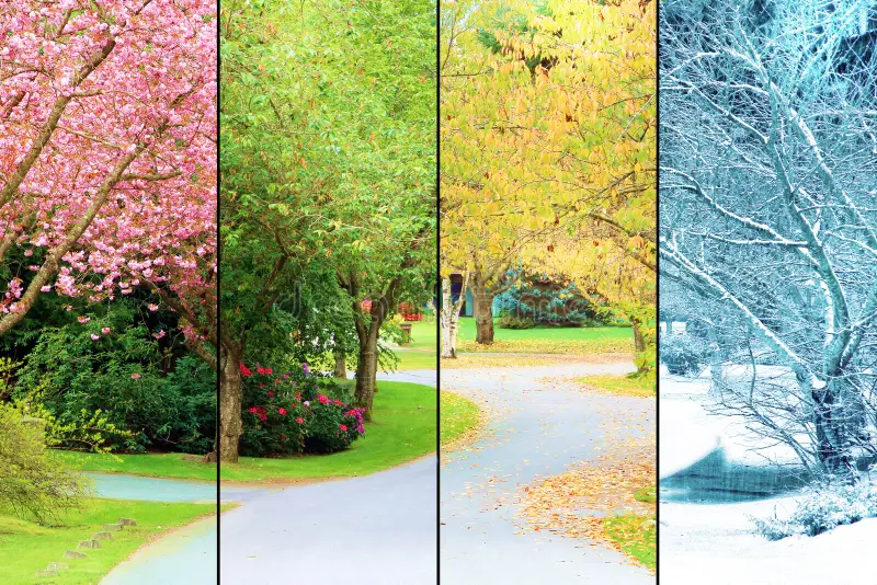 What Season Truly is the Best?